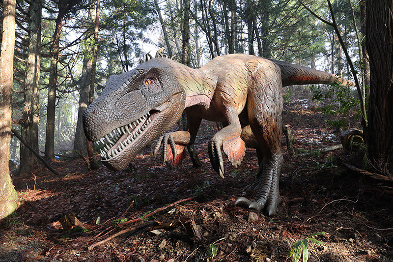 かつやまディノパーク 恐竜ロボ新たに１０体 １４日から営業 福井 毎日新聞