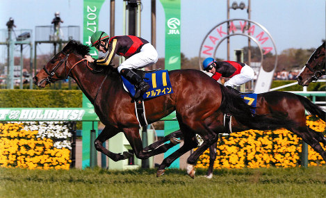 【スポーツ紙企画当選品】キタサンブラック 天皇賞春 レースパネル キタサンブラック号」トレーディングmini色紙 – kawaraban
