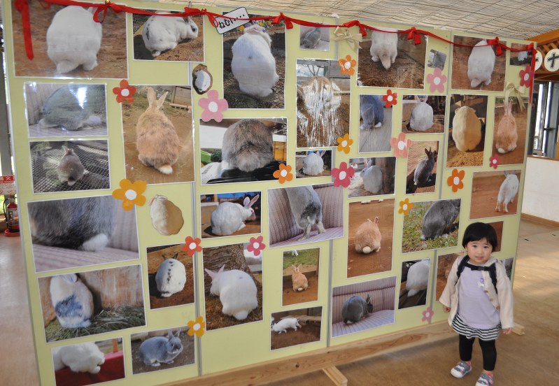 ウサギのお尻の写真が並ぶ「うさケツ展」=千葉県成田市で2018年4月12日午後3時24分、中村宰和撮影