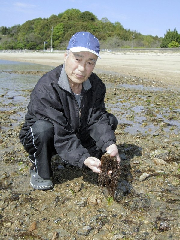 「このサイズが食べごろ」と海藻のオゴを手にする松本烝二さん