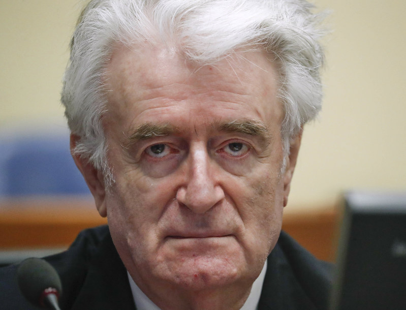 Un Prosecutor Seeks Life Term For Karadzic At Appeal Hearing The Mainichi
