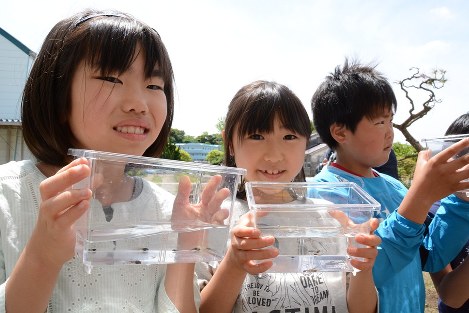 ガンゼキラン この花 いつまでも 絶滅危惧 一面に 高知 牧野植物園できょうから５日公開 高知 毎日新聞