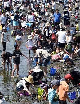 GW：アサリいっぱい取れたよ…横浜・潮干狩り [写真特集6/5] | 毎日新聞