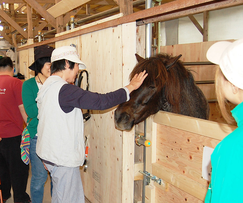 牧場 日本古来の馬と触れ合おう やぶさめや乗馬体験も 近江八幡 賀茂神社近くにオープン 滋賀 毎日新聞
