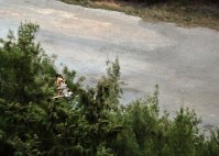 空港建設予定地の上空を飛ぶオガサワラノスリ＝東京都小笠原村で２０１８年４月１９日、宮武祐希撮影