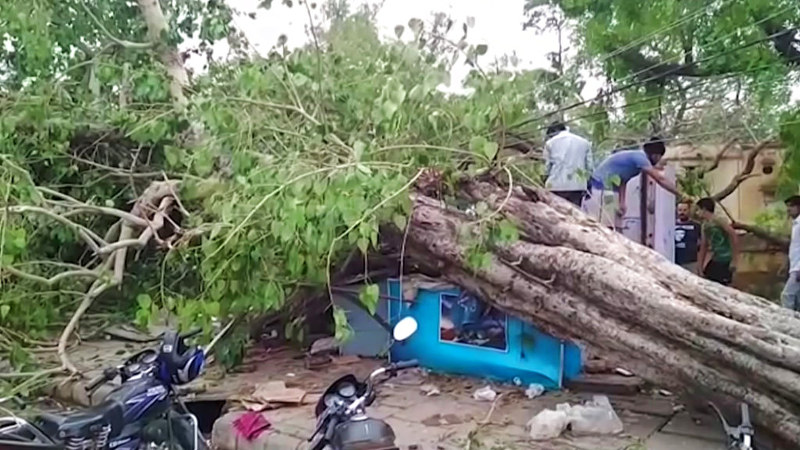 Dust storm wreaks havoc in three Rajasthan districts, toll climbs to 27