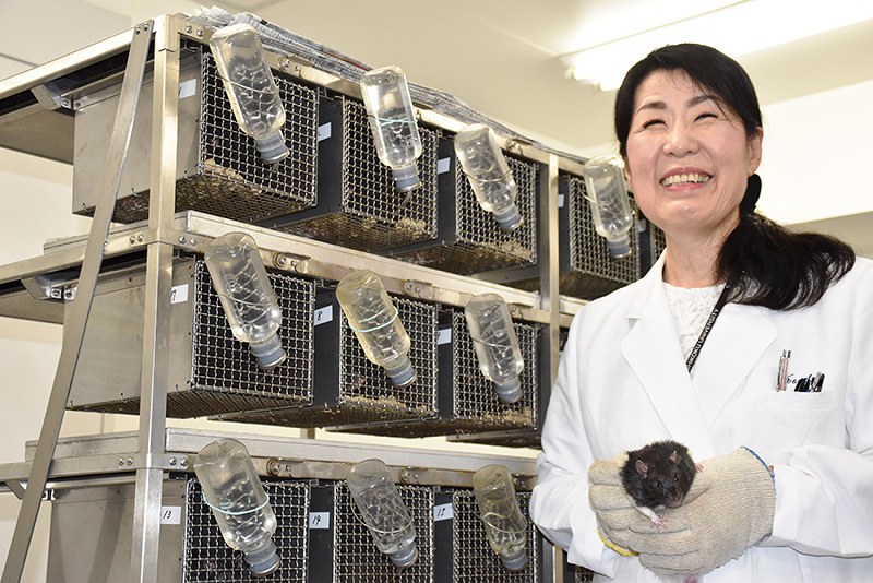 実験で使用したラットと四国大の近藤真紀教授=徳島市応神町古川で、岩本桜撮影
