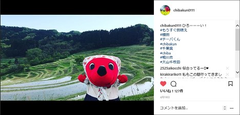停止する前のチーバくんの公式インスタグラム（千葉県報道広報課提供）