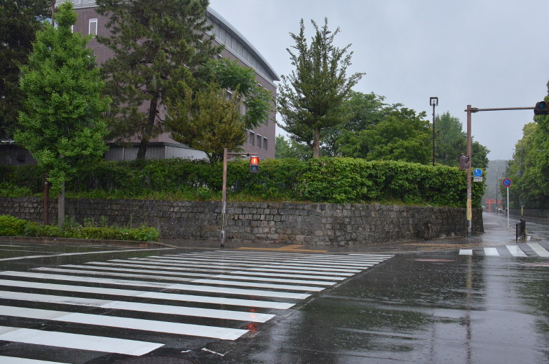 立て看板が撤去された京都大の吉田キャンパス本部敷地の南西側=京都市左京区で2018年5月13日午前10時33分、大東祐紀撮影