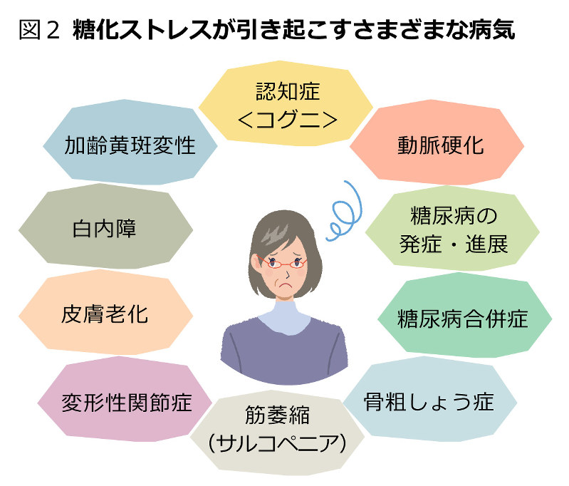 認知症、がんのリスクを上げる「糖化ストレス」とは  百寿者に学ぶ 