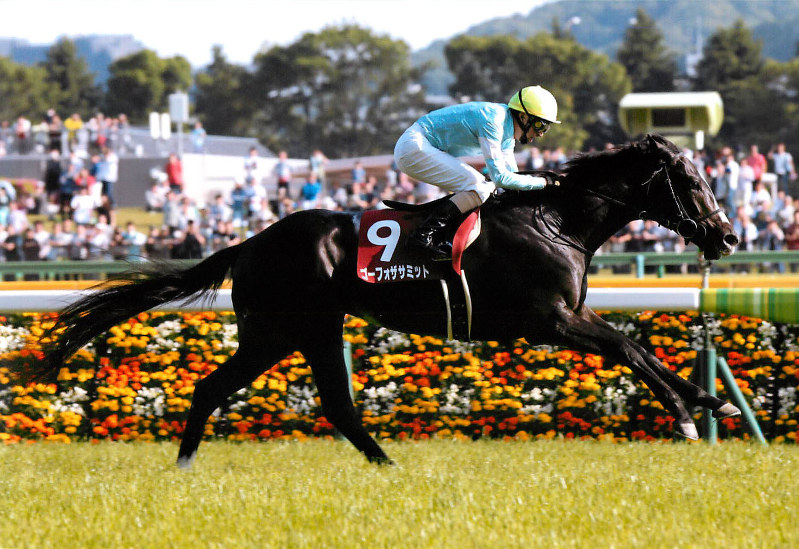 ウマ女十番勝負：（10）日本ダービー 記録を塗り替えろ、ゴーフォザ