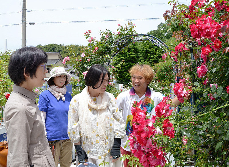 すとろべりぃあいすバラ園 花の女王 笑顔咲かせて 開園２０年フェス 国内３位 １１００種見ごろ 舞鶴 京都 毎日新聞