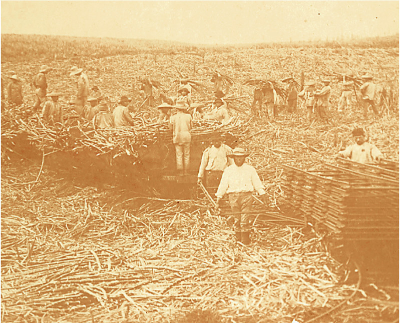 皇室 ハワイで日系人に感謝 秋篠宮ご夫妻 大会出席へ 戦後食料不足など海外から支援 毎日新聞