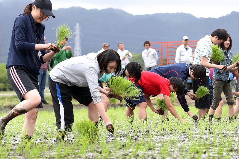 泥だらけになりながら苗を植える大学生ら=福島県浪江町で5月、喜屋武真之介撮影