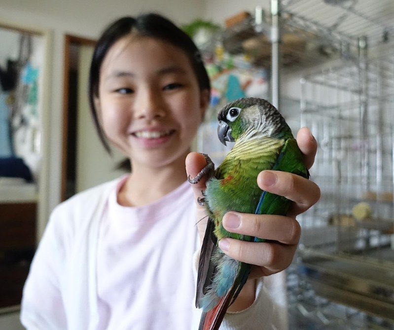 どうぶつ 飼い主と深い絆 鳥の魅力 毎日新聞