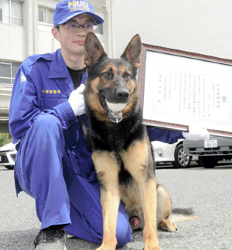 兵庫 お手柄警察犬ゾロに表彰状 行方不明女児を発見 毎日新聞