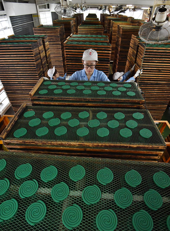 夏本番：蚊取り線香の出荷が最盛期 | 毎日新聞