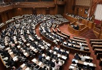 成人年齢を現行の２０歳から１８歳に引き下げる改正民法が与党などの賛成多数で可決、成立した参院本会議＝国会内で２０１８年６月１３日午前１０時４８分、川田雅浩撮影