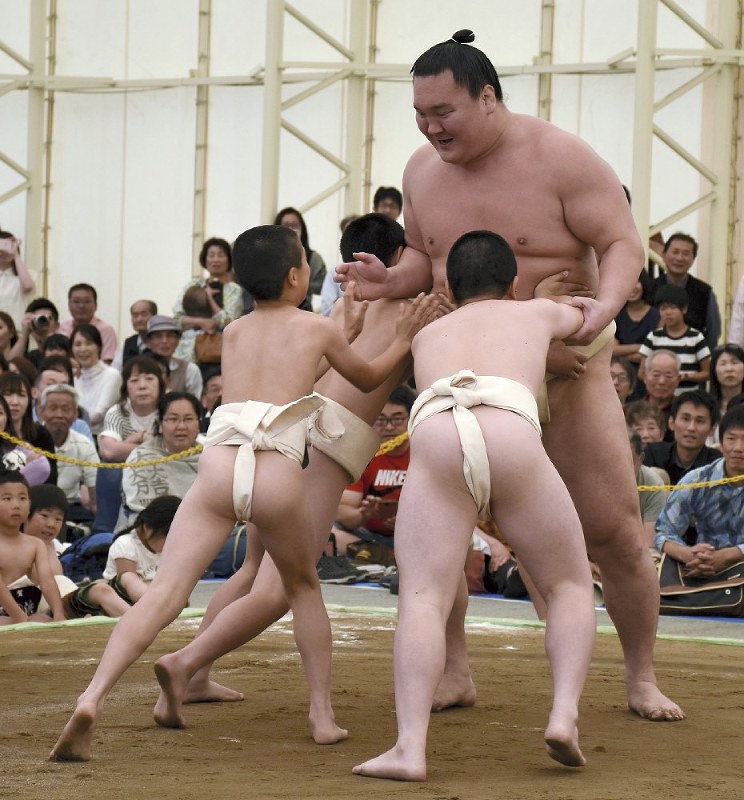 相撲ゆかた　大鵬　★名古屋場所開催中特別価格★ 楯山親方#誉富士#伊勢ヶ濱部屋 #大相撲#名古屋場所 #力士#sumo