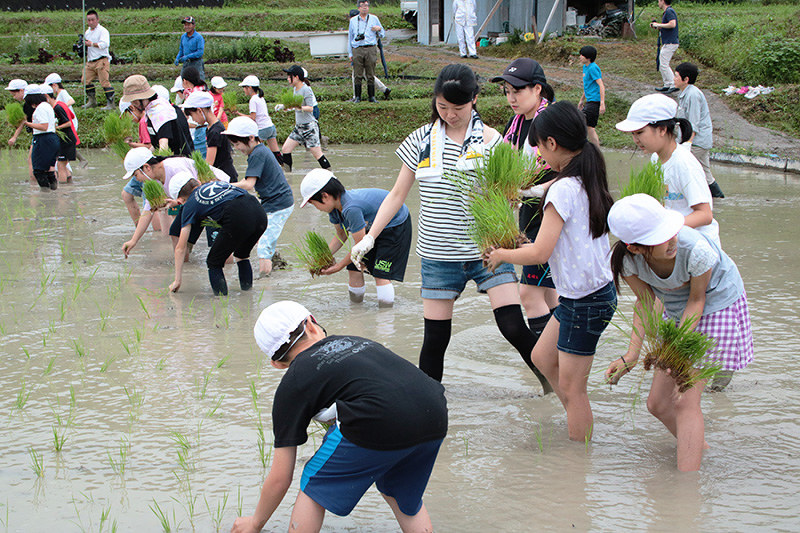 一緒に田植えをする野原小5年生と帝塚山大学生=奈良県五條市で、栗栖健撮影