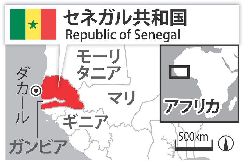 ロシアｗ杯 サッカー １次リーグ 日本 今夜セネガル戦 毎日新聞