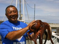 Kimio Abe, 51, smiles as he touches the head of Rabio the octopus, who correctly tipped the results of Japan's three group stage games in the World Cup in Russia, at a fishing port in the town of Obira, Hokkaido, on June 29, 2018. (Mainichi)