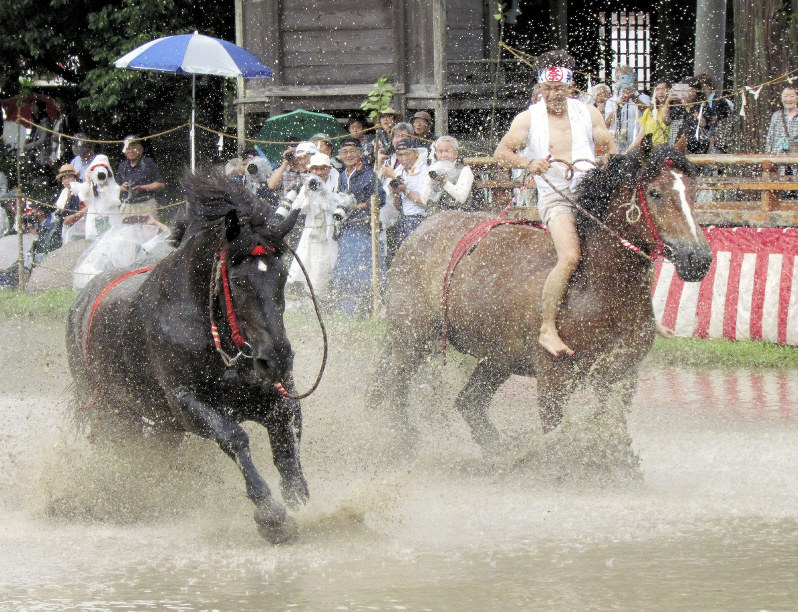 御田祭：裸馬が神田、疾走 宮崎・美郷 | 毎日新聞