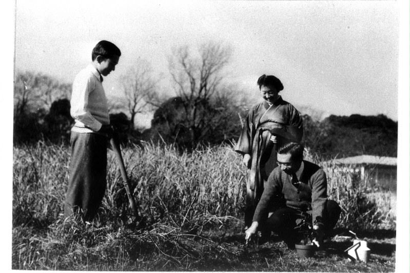 写真特集29/28] | 毎日新聞