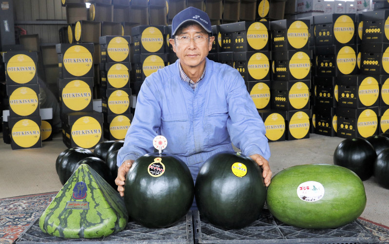 スイカ ゴジラのたまご ピラミッド 出荷ピーク 北海道 毎日新聞