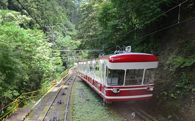 南海高野線・極楽橋駅と高野山駅を結ぶケーブルカー=松野和生撮影
