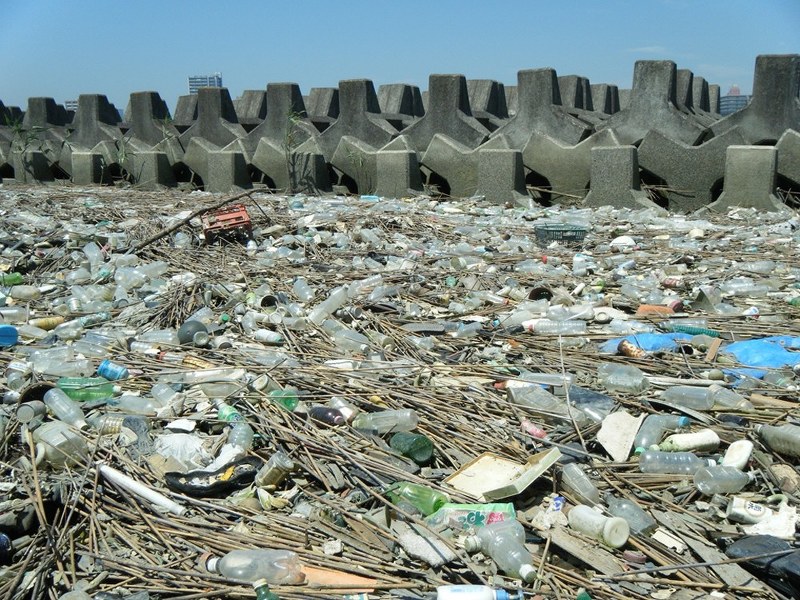 荒川の土手に散乱するプラスチックごみ=高田秀重・東京農工大教授提供