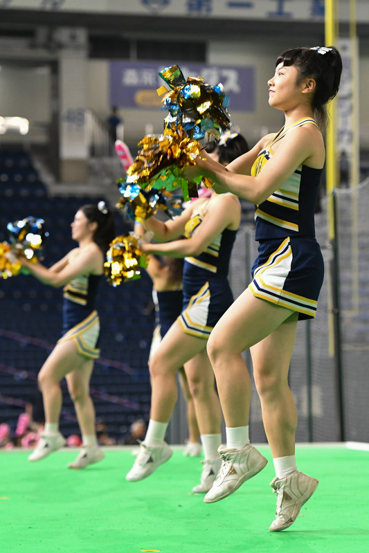 ひとり応援団 都市対抗野球：日本新薬（京都市）の応援団（1回戦） [写真特集
