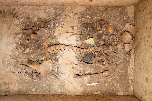 世界の雑記帳：ギリシャで1800年前の貴婦人の墓発見、金の宝飾品類も