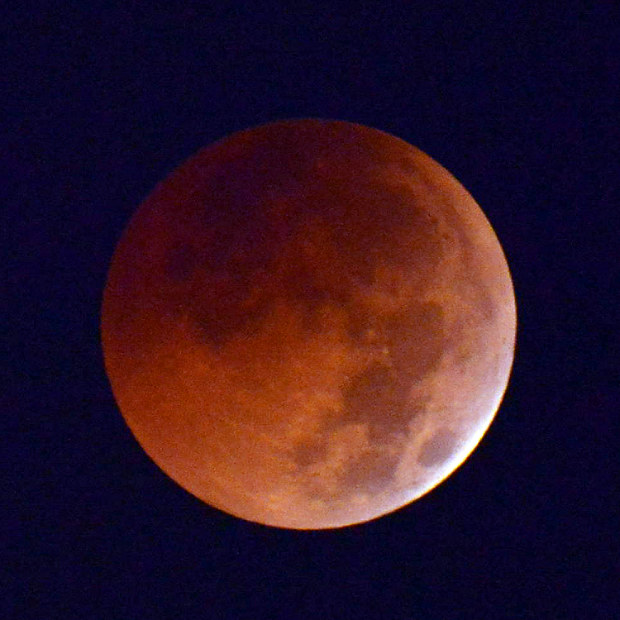 Photo Journal: Astronomical appearance - The Mainichi