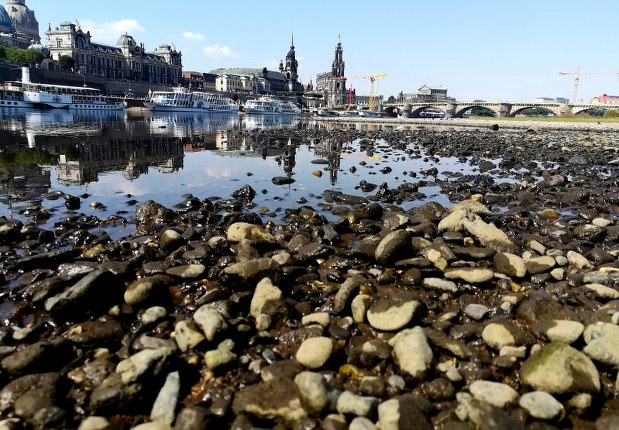 世界の雑記帳 熱波続くドイツ エルベ川は水位低下で汽船が運航できず 毎日新聞