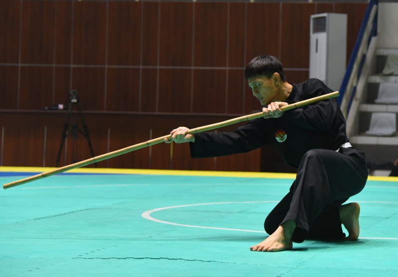 東南アジア探訪記 伝統武術 プンチャック シラット でメダルを 毎日新聞