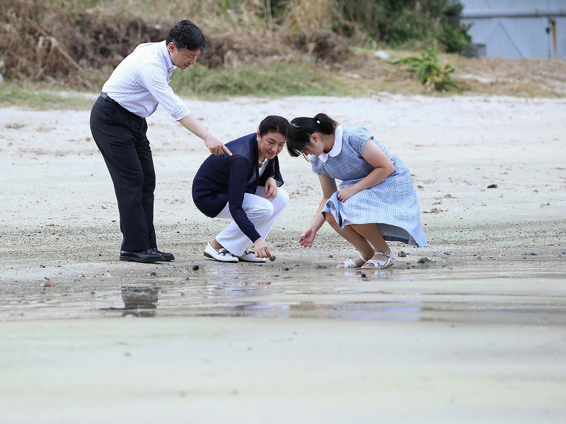 愛子さま専用 jmpa_aikosama-328x197.jpg