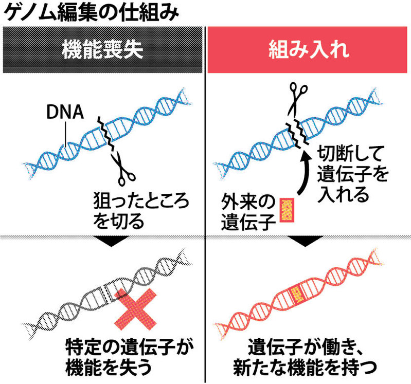 毎日新聞