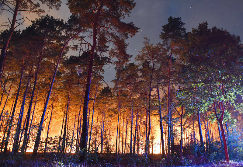 huge-wildfire-spreads-southwest-of-berlin-the-mainichi