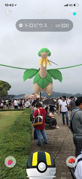 ポケGO：アフリカ限定ポケモン「ゲット」 横須賀 | 毎日新聞