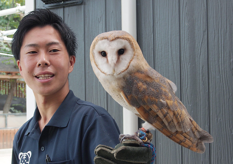 高松道・白鳥トンネルで開かれる「動物園」に登場するフクロウ=香川県東かがわ市松原のしろとり動物園で、植松晃一撮影