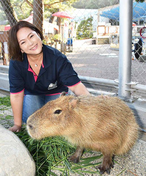 四国人 ２９ 愛媛初のビーチテニスクラブ マンダリーノ 代表 山田祐希さん 四国 毎日新聞