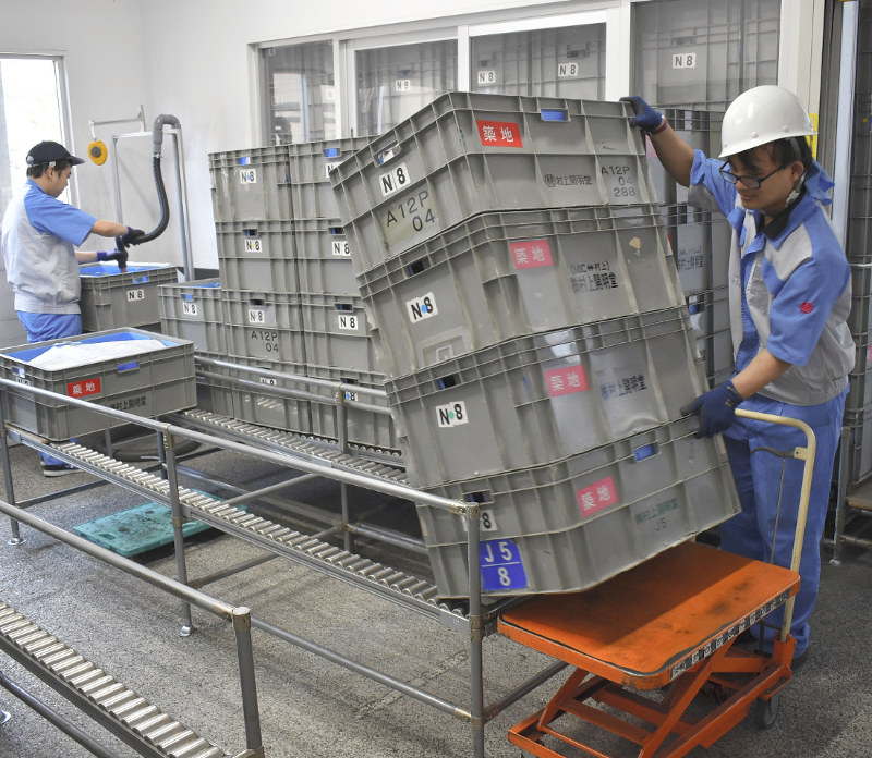 村上開明堂の藤枝工場作業所で空箱の清掃をする障害を持つ男性たち=島田信幸撮影