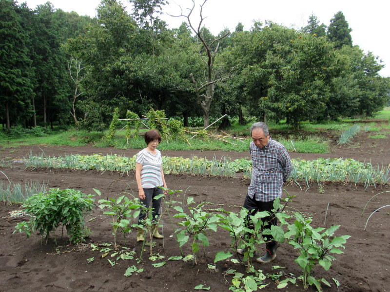 「別宅」の菜園で、野菜の育ち具合を確かめる三宅正高さん、真純さん夫妻=水戸市で