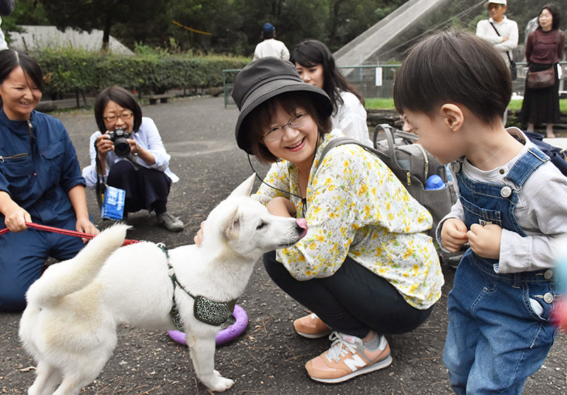紀州犬の絢芽と触れ合う来場者=和歌山市一番丁の和歌山公園動物園で、後藤奈緒撮影