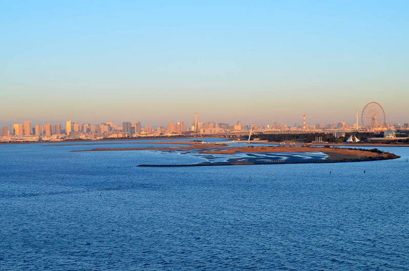 ラムサール条約に登録される見通しとなった葛西海浜公園=東京都港湾局提供