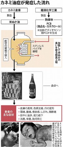 カネミ油症が発症した流れ