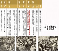 カネミ油症の主な流れ