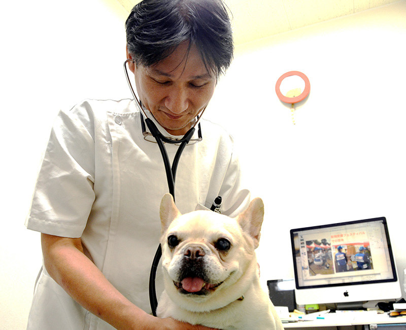 犬の診察をする大阪府獣医師会の佐伯潤会長=大阪府和泉市で、芝村侑美撮影