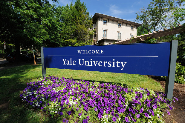 エール大学